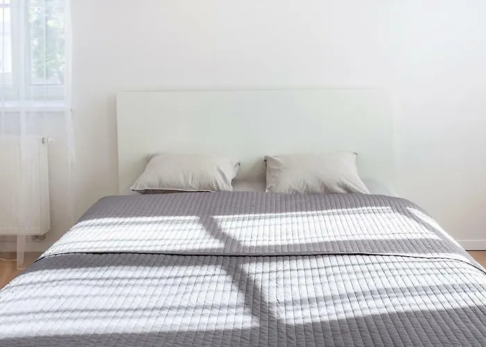 Bright & Cozy In Old Town